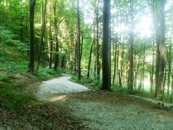 Apartmani Ramonda Teslić Dış mekan fotoğraf